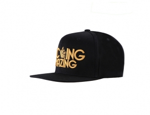 Snapback HAT 104D 