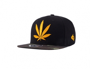 Snapback HAT 109D 